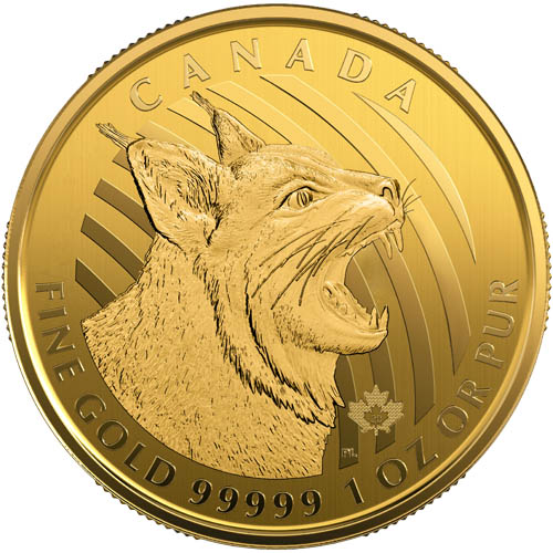 1 oz Canadian Gold Bobcat Coin (2020)