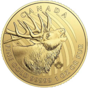 1 oz Canadian Gold Elk Coin (2017)